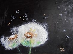KISS GABOR